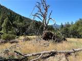 20925 Mid Mountain (17N17 Usfs) Road - Photo 10