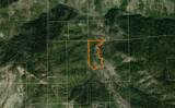 20925 Mid Mountain (17N17 Usfs) Road - Photo 15