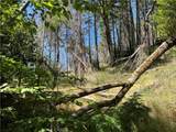 20925 Mid Mountain (17N17 Usfs) Road - Photo 5