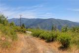 12059 Andy Mountain Road - Photo 11
