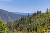 12059 Andy Mountain Road - Photo 13