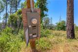 12059 Andy Mountain Road - Photo 8