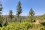 12059 Andy Mountain Road - Photo 9