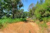 13545 Surcease Mine Road - Photo 4