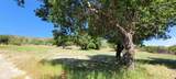 26380 San Felipe Road - Photo 69