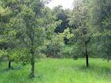 6 Arroyo Sequoia - Photo 37