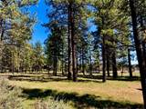 0 Butterfly Peak Rd. - Photo 14