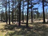 0 Butterfly Peak Rd. - Photo 19