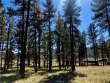 0 Butterfly Peak Rd. - Photo 5