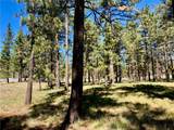 0 Butterfly Peak Rd. - Photo 8