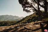 26094 Mulholland Highway - Photo 57