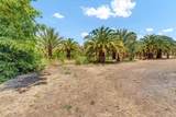 31497 Success Valley Drive - Photo 53