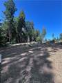 13903 Cluster Court - Photo 10