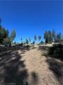 13903 Cluster Court - Photo 9