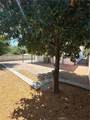 663 14th Street - Photo 3