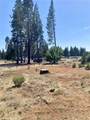 13933 Carver Drive - Photo 3