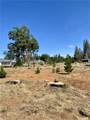 13933 Carver Drive - Photo 4