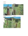 0 Aryle Rd. - Photo 2