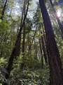 0 Slate Creek Rd. - Photo 12