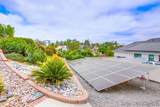 17502 Corte Lomas Verdes - Photo 59