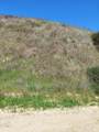 0 Loma Verde Mountainway - Photo 1