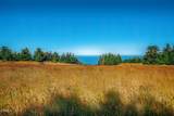 2401 Highway 1 - Photo 14