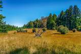 2401 Highway 1 - Photo 15