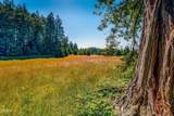 2401 Highway 1 - Photo 16