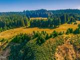 2401 Highway 1 - Photo 18