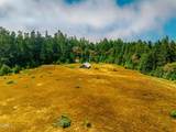 2401 Highway 1 - Photo 24