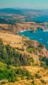 2401 Highway 1 - Photo 38