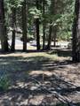 631 Cedar Canyon Road - Photo 2