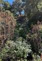 382 Corral De Tierra Road - Photo 12