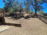 411 Pine Canyon Drive - Photo 38