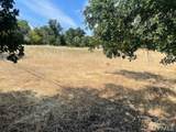 2630 Wyndham Lane - Photo 3