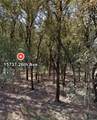 15737 26th Avenue - Photo 2