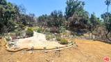 1308 Sunny Oaks Circle - Photo 4