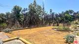1308 Sunny Oaks Circle - Photo 9