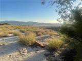 33 Sweetbush - Photo 11