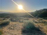 33 Sweetbush - Photo 12