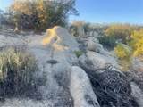 33 Sweetbush - Photo 13