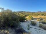 33 Sweetbush - Photo 14
