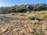 33 Sweetbush - Photo 15