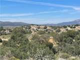 33 Sweetbush - Photo 17