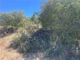 33 Sweetbush - Photo 24