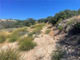 33 Sweetbush - Photo 4