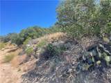 33 Sweetbush - Photo 5