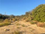 33 Sweetbush - Photo 6