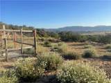 33 Sweetbush - Photo 7