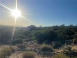 33 Sweetbush - Photo 9